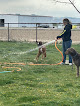 Pet boarding services Lake Shore Boarding in Nampa in Idaho
