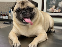Pet boarding services Lakes Dog Boarding in Miami Lakes in FL