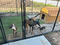 Pet boarding services Land Of Oz Boarding Kennel And Resort in Colwich in Kansas