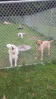 Pet boarding services Landenberg Pet Resort & Spa in Landenberg in Pennsylvania