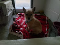 Pet boarding services Lansa's Boarding Kennels in Mandeville in Louisiana