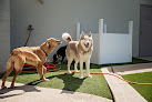 Pet boarding services Lap Of Luxury Pet Resort in Wheaton in IL