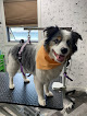 Pet boarding services Lathered Professional Dog Grooming in Brookings in South Dakota