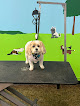 Pet boarding services Lazy Dayz Pet Resort in Berea in Madison