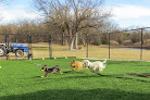 Pet boarding services Lazy P Pet Ranch in Wichita in KS