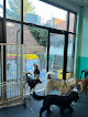 Pet boarding services Le Doggie Cool in Brooklyn in Brooklyn