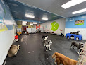 Pet boarding services Learning Paws 24/7 in Phoenix in Arizona