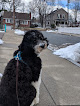 Pet boarding services Leash Dog Care in Jamaica Plain in MA