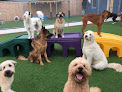 Pet boarding services Leland Pet Resort in Leland in North Carolina