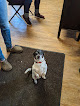 Pet boarding services Liberty Acres Pet Service in Oppelo in Arkansas
