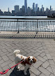 Pet boarding services Liberty Dog Walking & Pet Sitting in Jersey City in NJ