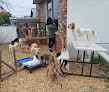 Pet boarding services Lil Doggy Daycare in Morton in IL