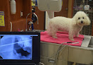 Pet boarding services Little Apple Veterinary Hospital in Manhattan in Kansas