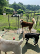 Pet boarding services Little Paws Dog Daycare & Boarding in Topsham in Maine