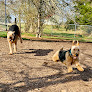 Pet boarding services Little Ponderosa Pet Resort & Spa in Bedford in Virginia