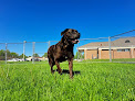 Pet boarding services Little River Pet Resort in Columbia Station in OH