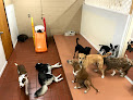 Pet boarding services Little Wolfe's Pet Resort in Winter Haven in Florida