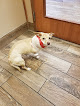 Pet boarding services Live Oak Animal Hospital in Lubbock in Texas
