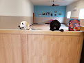 Pet boarding services Lone Pine Pet Resort in Roseburg in Oregon