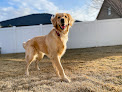 Pet boarding services Lori's K-9 Retreat Plus Llc in Riverton in Salt Lake