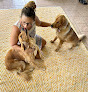 Pet boarding services Lovebug Farm in Keaau in Hawaii