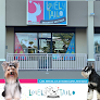 Pet boarding services Lovely Tails Grooming Boutique in Camuy in Puerto Rico