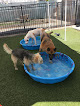 Pet boarding services Loving Pet Hotel in Long Beach in CA
