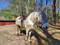 Pet boarding services Lucky 7 Stables in Londonderry in New Hampshire