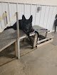 Pet boarding services Lucky Dog Boarding & Training in Detroit Lakes in MN
