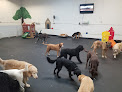 Pet boarding services Lucky Dog Daycare & Boarding in Lisle in Du Page
