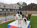 Pet boarding services Lucky Dog Daycare in Decatur in Alabama