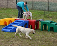 Pet boarding services Lucky Dog Lodge in Galva in IL