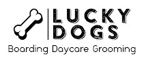 Pet boarding services Lucky Dogs Boarding Daycare Grooming in Wichita in Kansas