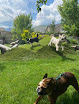 Pet boarding services Lucky Paws Pet Retreat in East Wenatchee in Washington