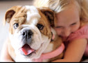Pet boarding services Lucky's Dog House Daycare & Boarding in Acton in California