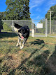 Pet boarding services Luxemburg Pet Resort in Lykens in Pennsylvania