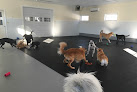 Pet boarding services Maine Animal Keeper in Hermon in Maine