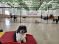 Pet boarding services Mak Pack Dog Training & Boarding in Chandler in Arizona