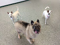 Pet boarding services Mama Bear's Bed & Biscuit in Phoenix in Arizona