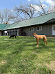 Pet boarding services Manchester Country Kennels in South Beloit in IL