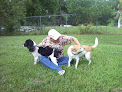 Pet boarding services Mandarin Pet Care in Jacksonville in Duval