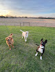 Pet boarding services Maples Place Pet Boarding in Greenfield in Indiana