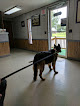 Pet boarding services Marcello Veterinary Hospital Raceland in Raceland in Louisiana