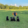 Pet boarding services Mason Dixon Kennels in Canton in Mississippi