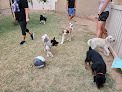 Pet boarding services Master's Kennels in Gilbert in Gilbert, AZ