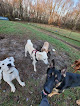Pet boarding services Matt And The Pack Dog Daycare in Lawrenceville in NJ