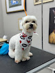 Pet boarding services Maxynoah Grooming in Bayamón in Bayamón