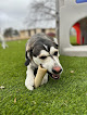 Pet boarding services Mcpherson Pet Resort in McPherson in KS