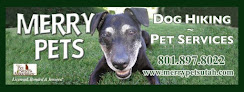 Pet boarding services Merry Pets in Salt Lake City in Utah
