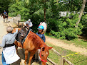 Pet boarding services Metropolitan Equestrian - Rock Creek Park Horse Center in Washington in Washington, D.C.